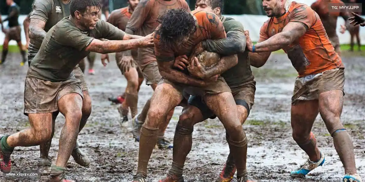 db真人旗舰集团——每一步,都为热爱!🏃♀️